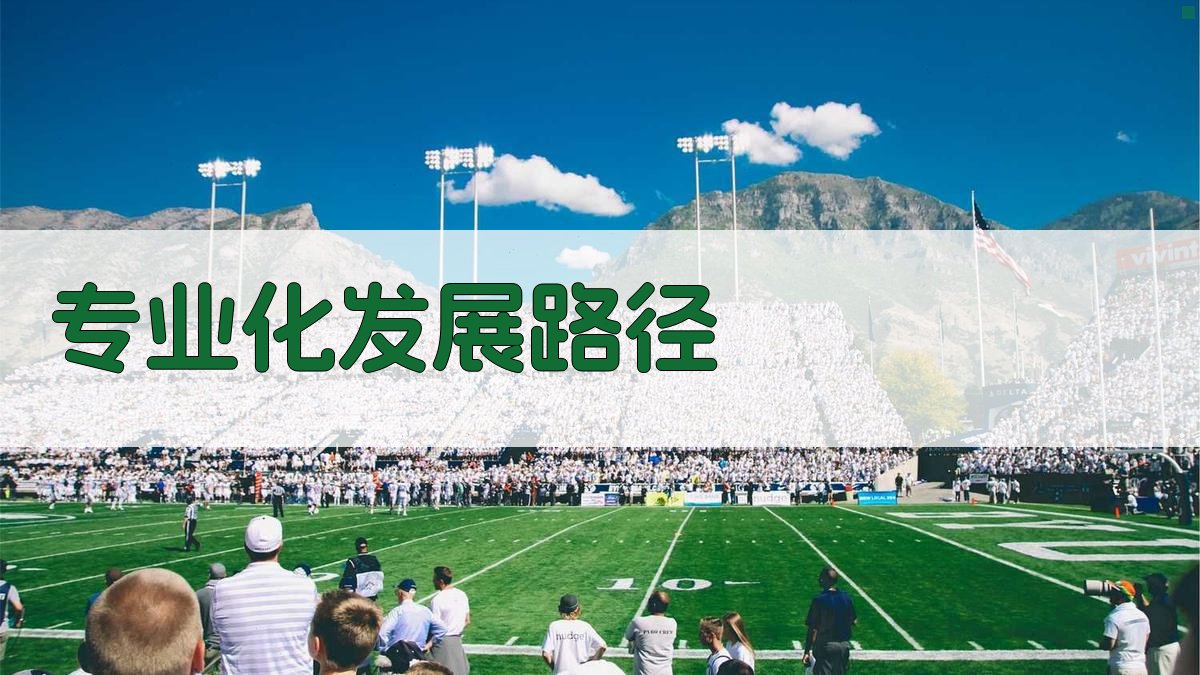 专业化发展路径 图2