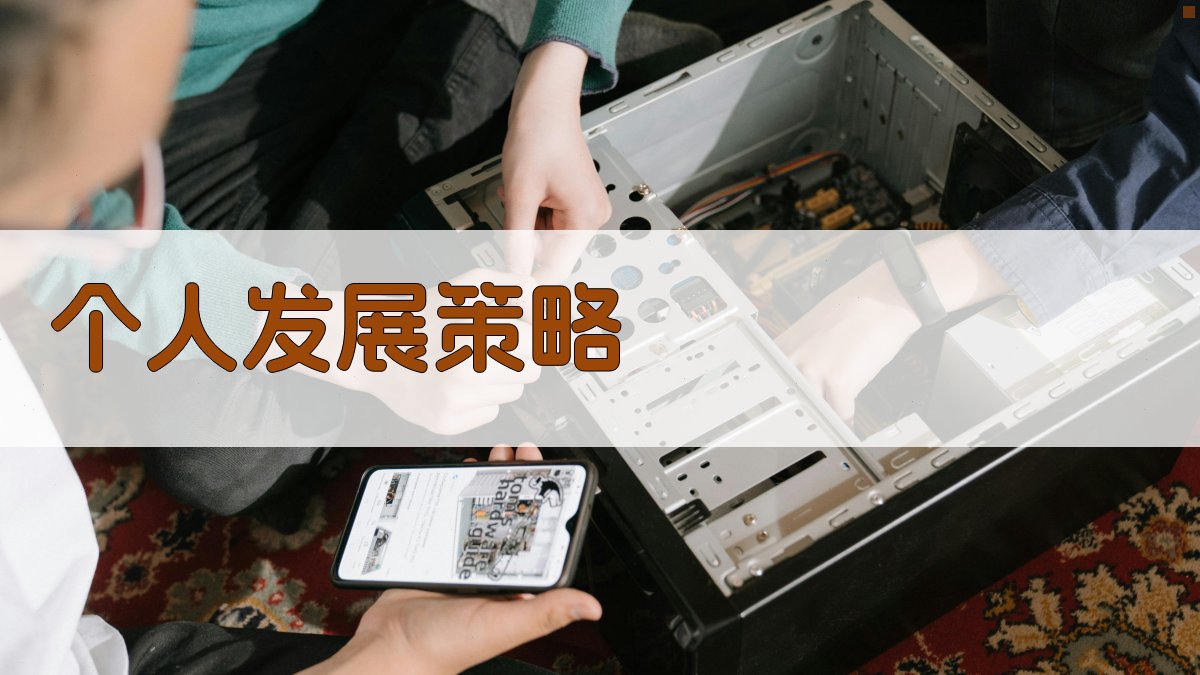 个人发展策略 图2