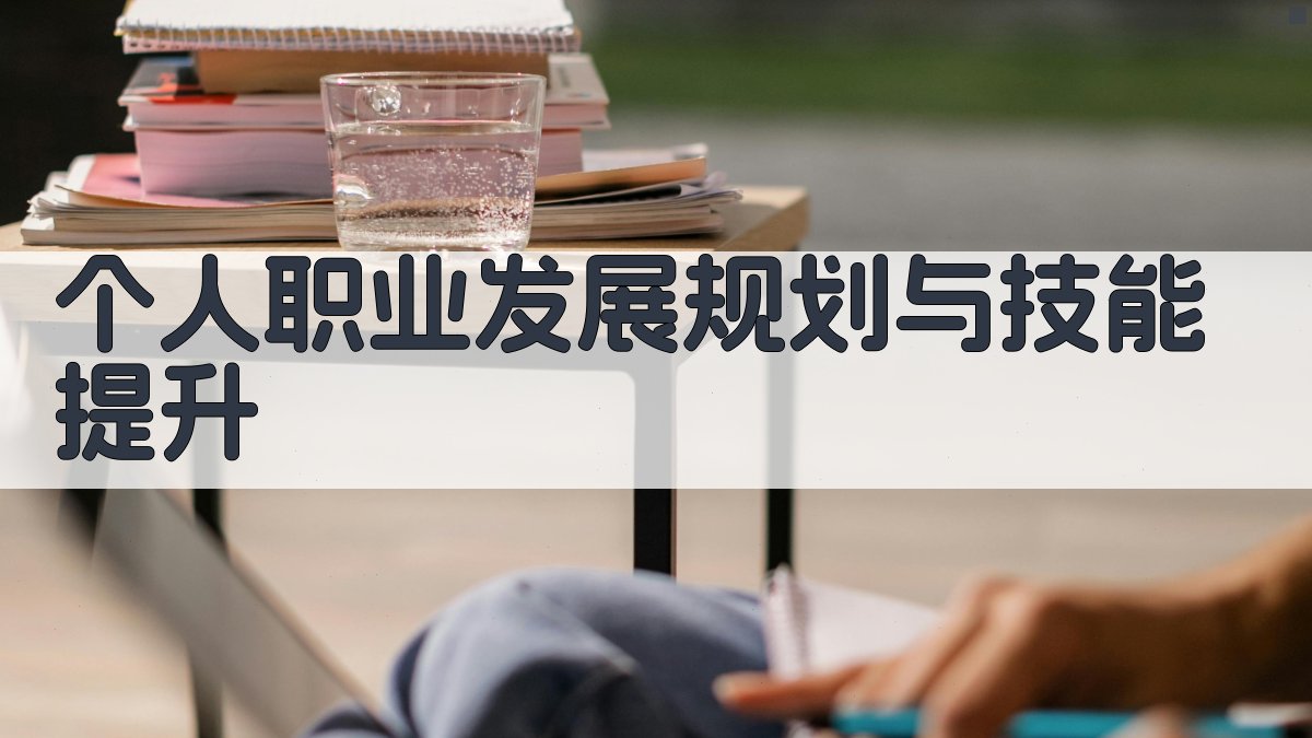 个人职业发展规划与技能提升 图3