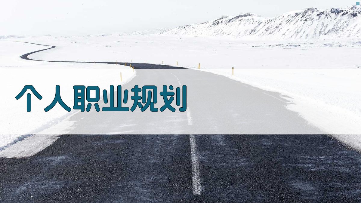 个人职业规划 图2