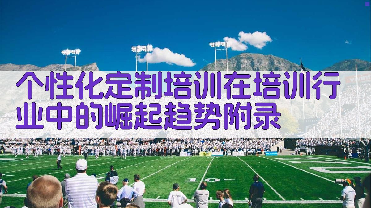个性化定制培训在培训行业中的崛起趋势 · 附录 图4