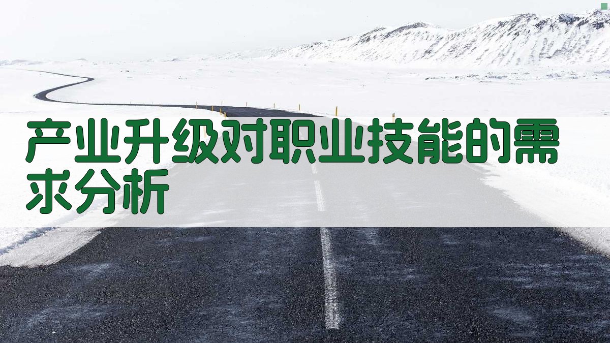 产业升级背景下的职业技能提升策略研究