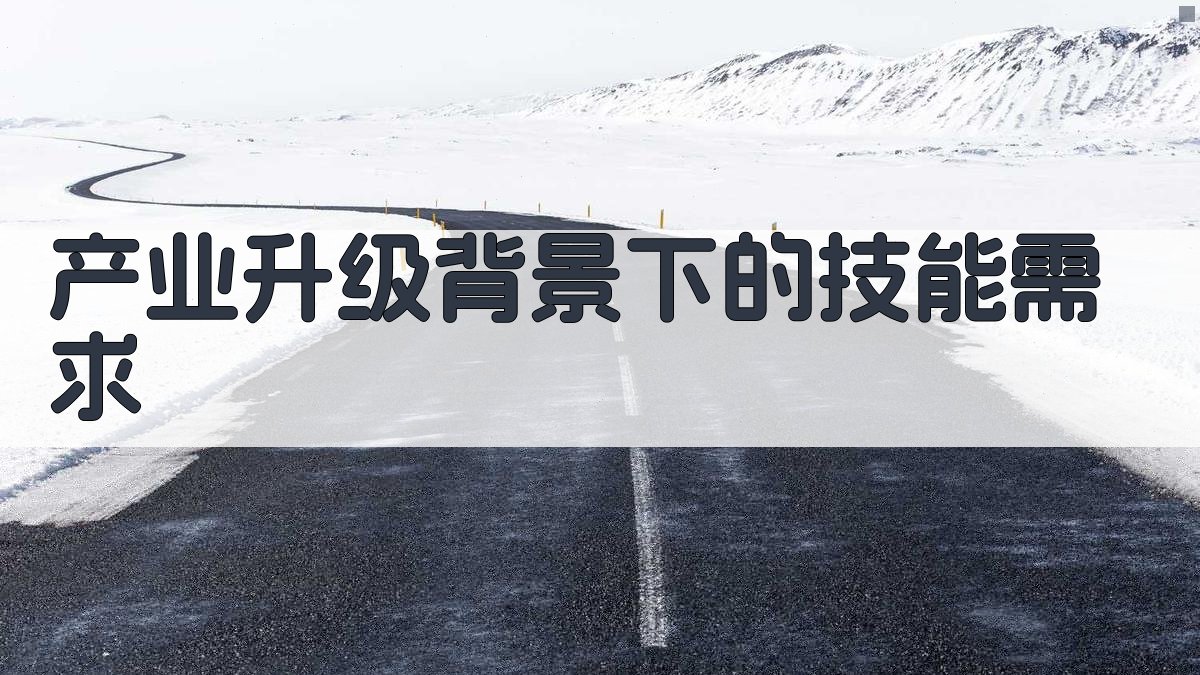 职业技能提升行动数字化赋能产业升级策略