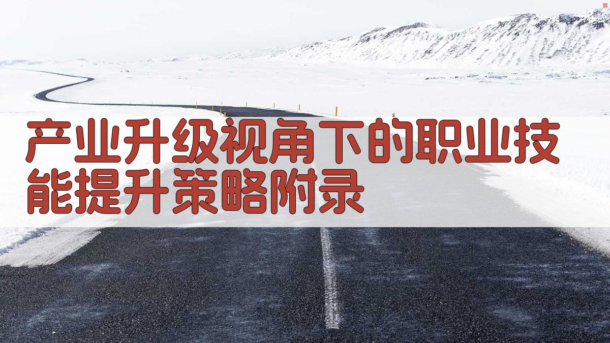产业升级视角下的职业技能提升策略 · 附录 图4