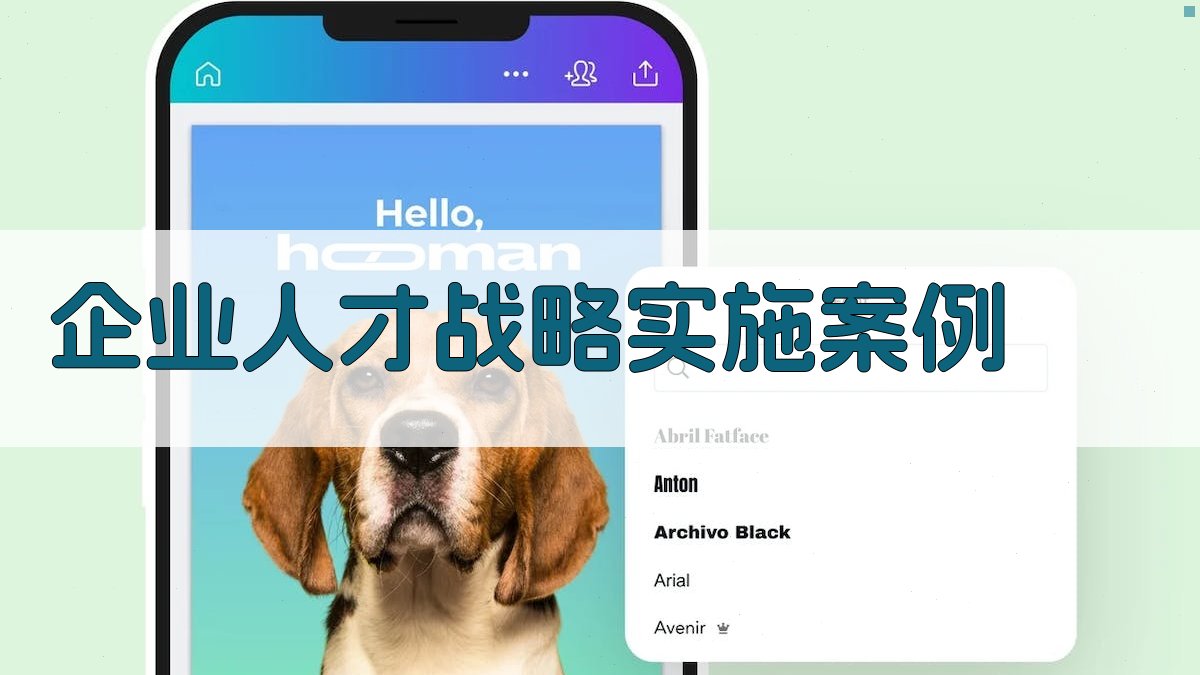 企业人才战略实施案例 图2