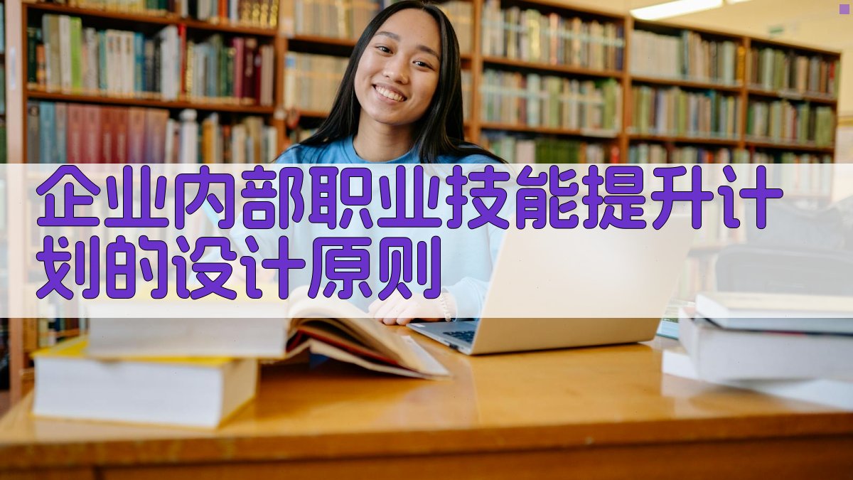 企业内部职业技能提升计划的设计原则 图2