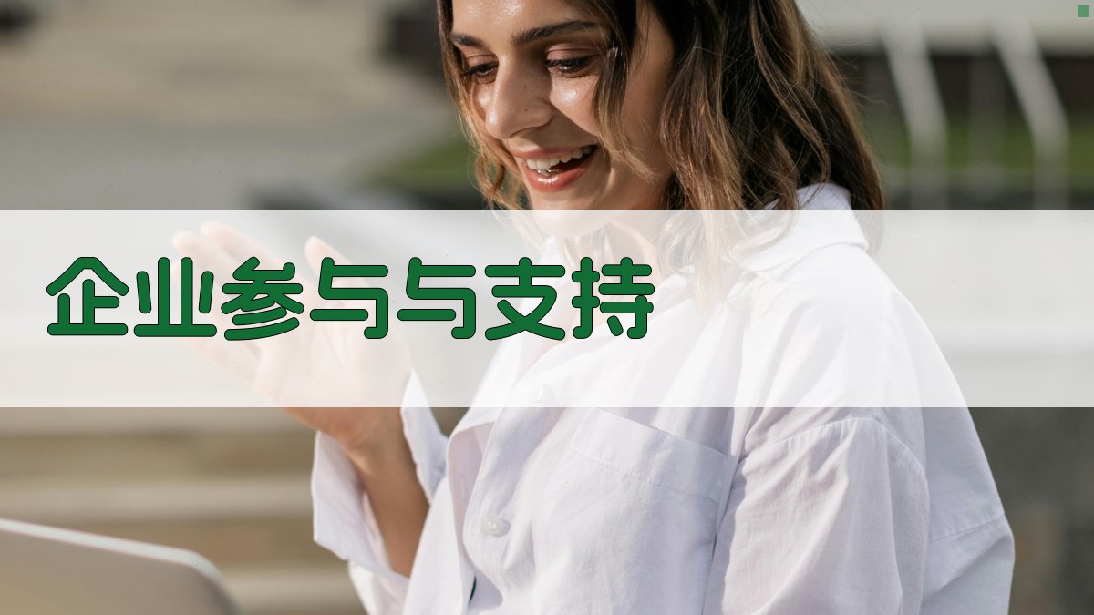 企业参与与支持 图3