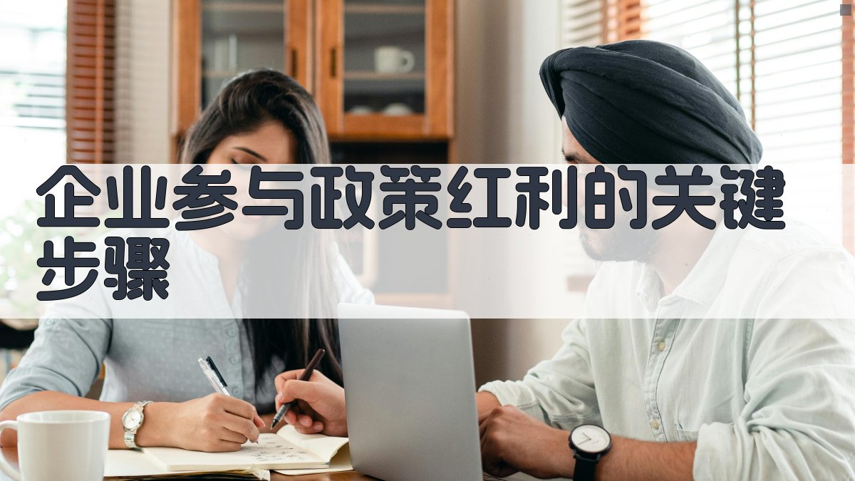 企业参与政策红利的关键步骤 图2