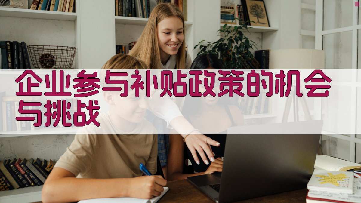 企业参与补贴政策的机会与挑战 图3