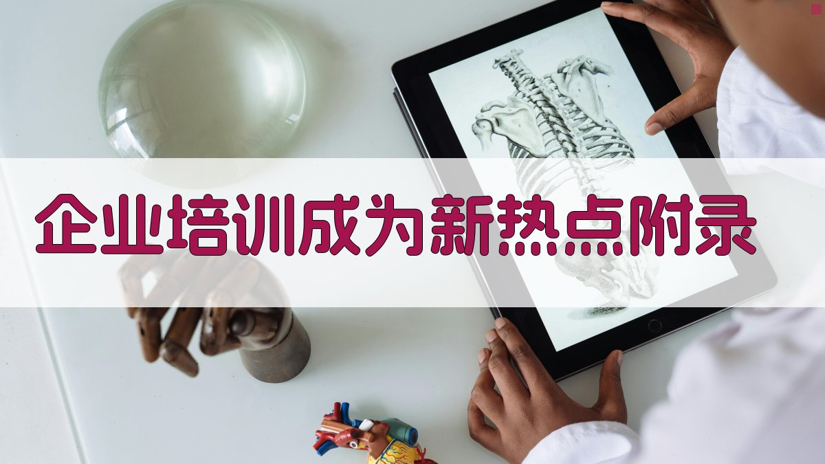 企业培训成为新热点 · 附录 图3