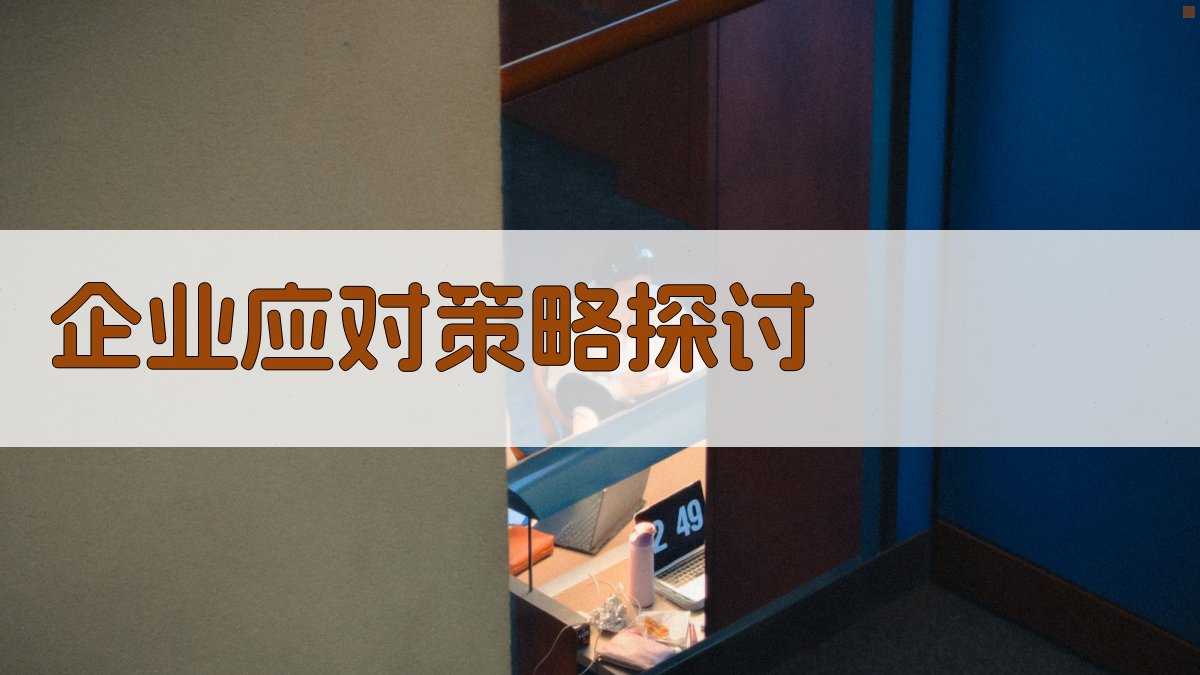 企业应对策略探讨 图3