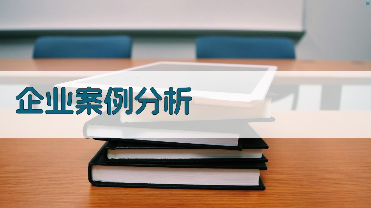 企业案例分析 图3