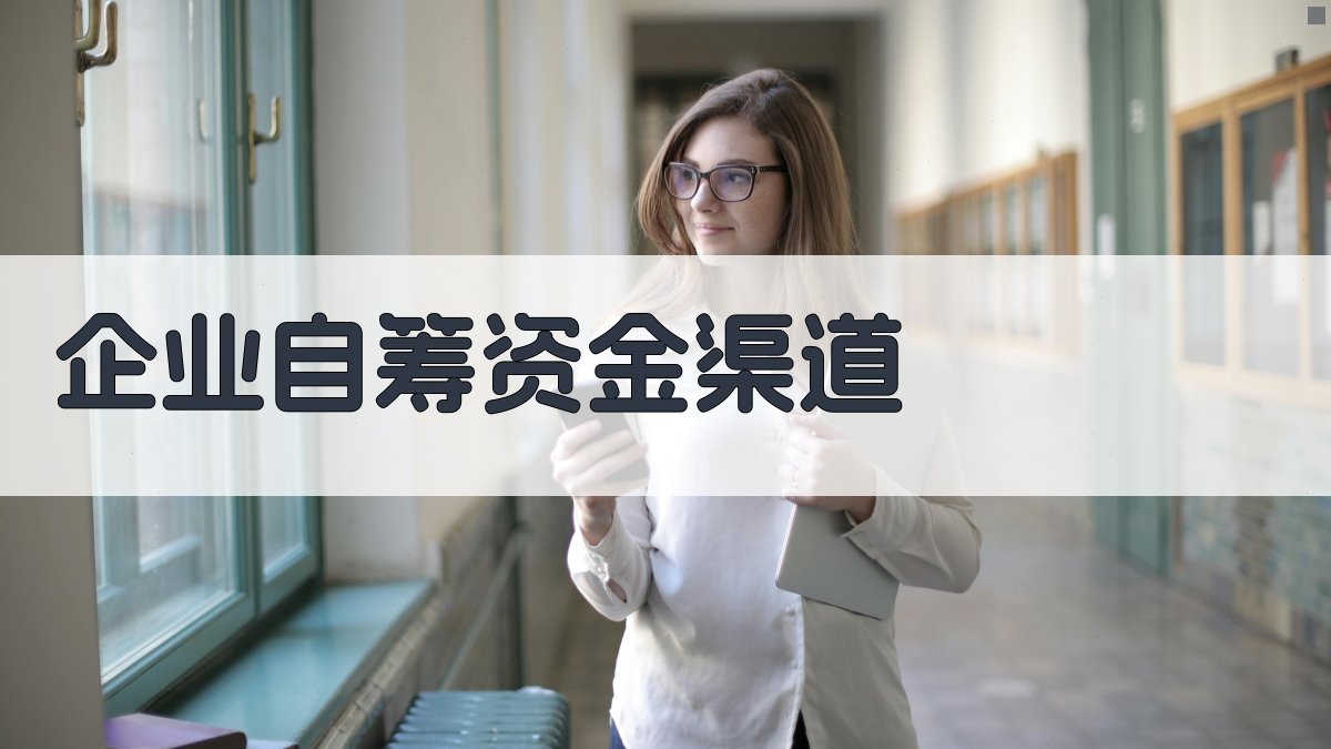 企业自筹资金渠道 图3
