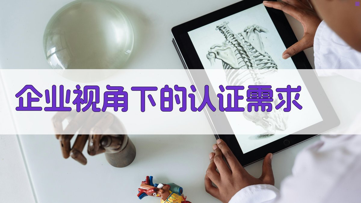 企业视角下的认证需求 图4
