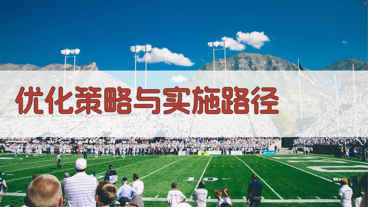 优化策略与实施路径 图2