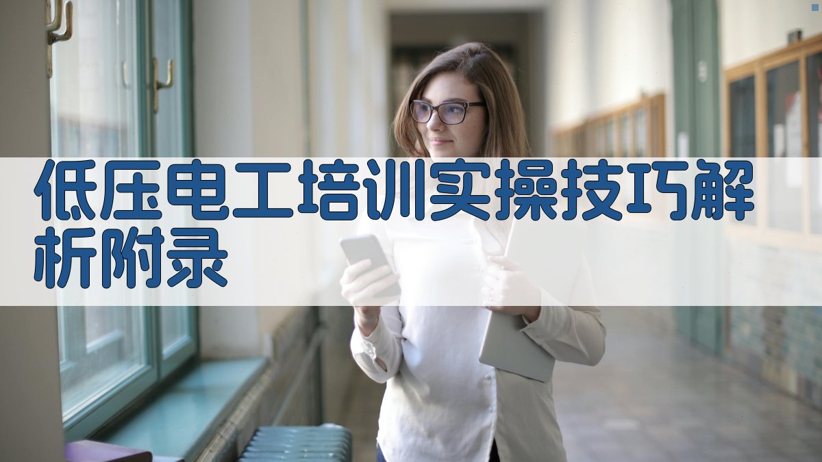低压电工培训实操技巧解析 · 附录 图2