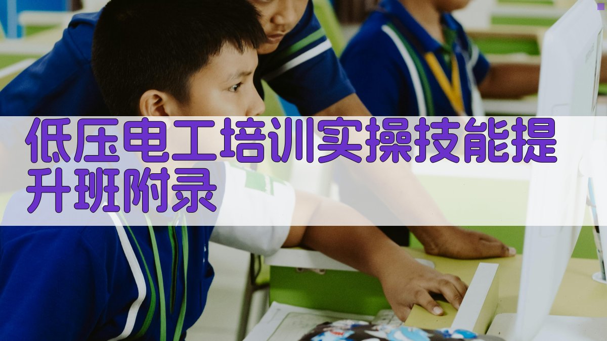 低压电工培训实操技能提升班 · 附录 图4