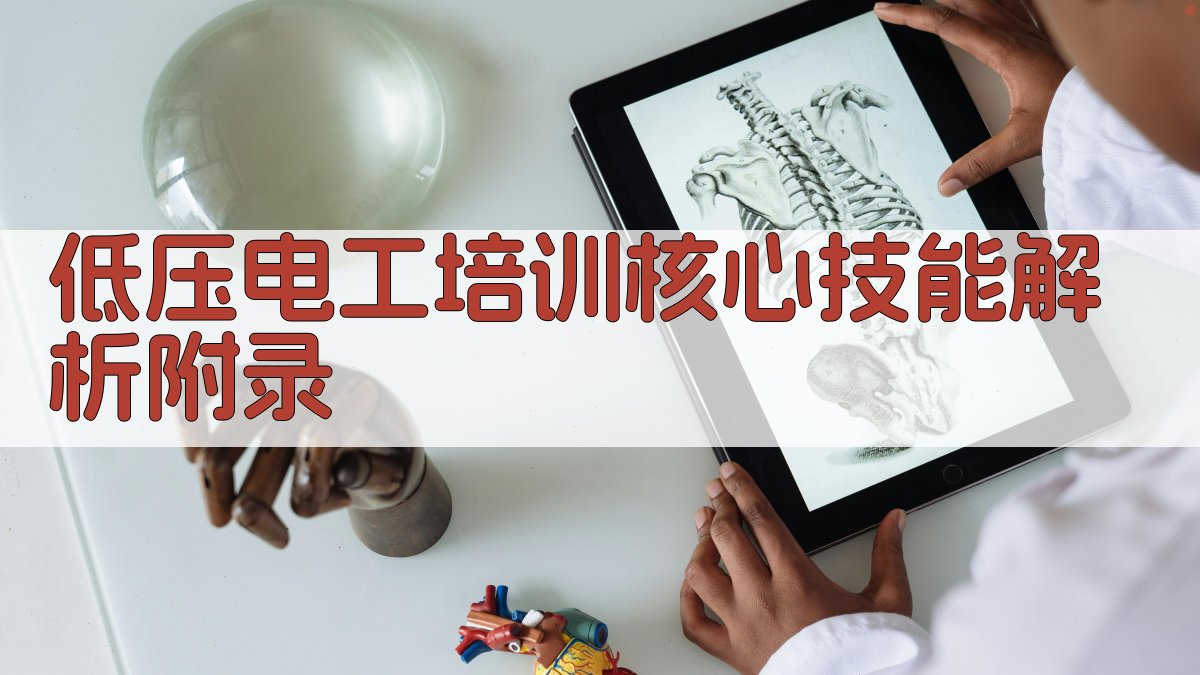 低压电工培训核心技能解析 · 附录 图5