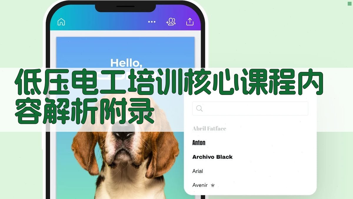 低压电工培训核心课程内容解析 · 附录 图5