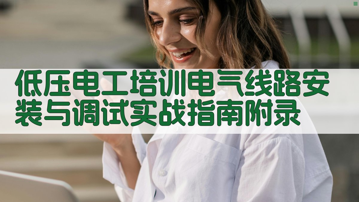低压电工培训电气线路安装与调试实战指南 · 附录 图4