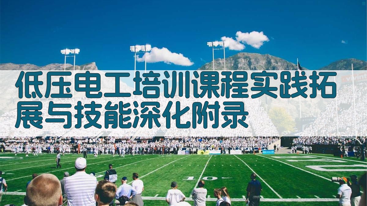 低压电工培训课程实践拓展与技能深化 · 附录 图3