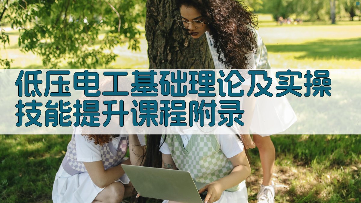 低压电工基础理论及实操技能提升课程 · 附录 图3