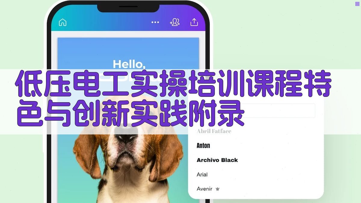 低压电工实操培训课程特色与创新实践 · 附录 图4