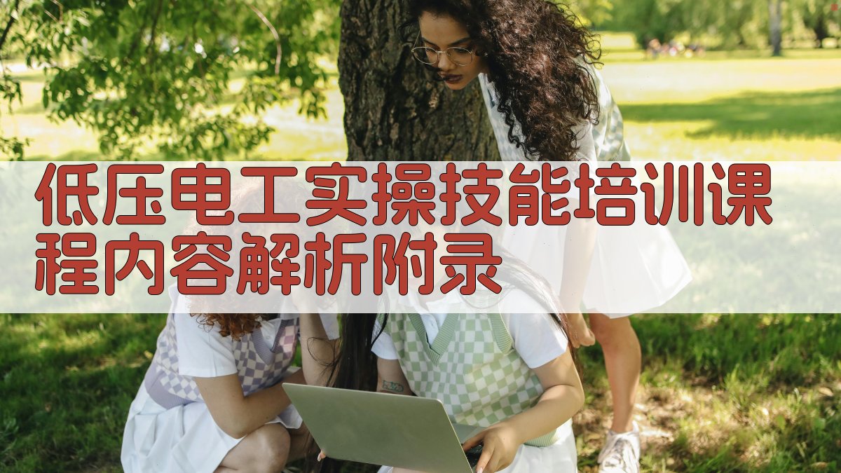 低压电工实操技能培训课程内容解析 · 附录 图4