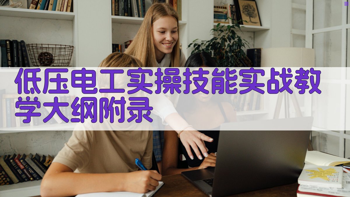 低压电工实操技能实战教学大纲 · 附录 图4