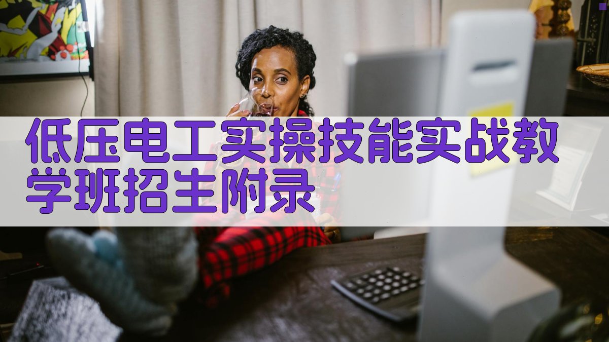 低压电工实操技能实战教学班招生 · 附录 图4