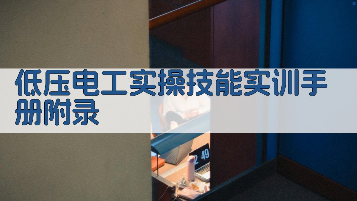 低压电工实操技能实训手册 · 附录 图2