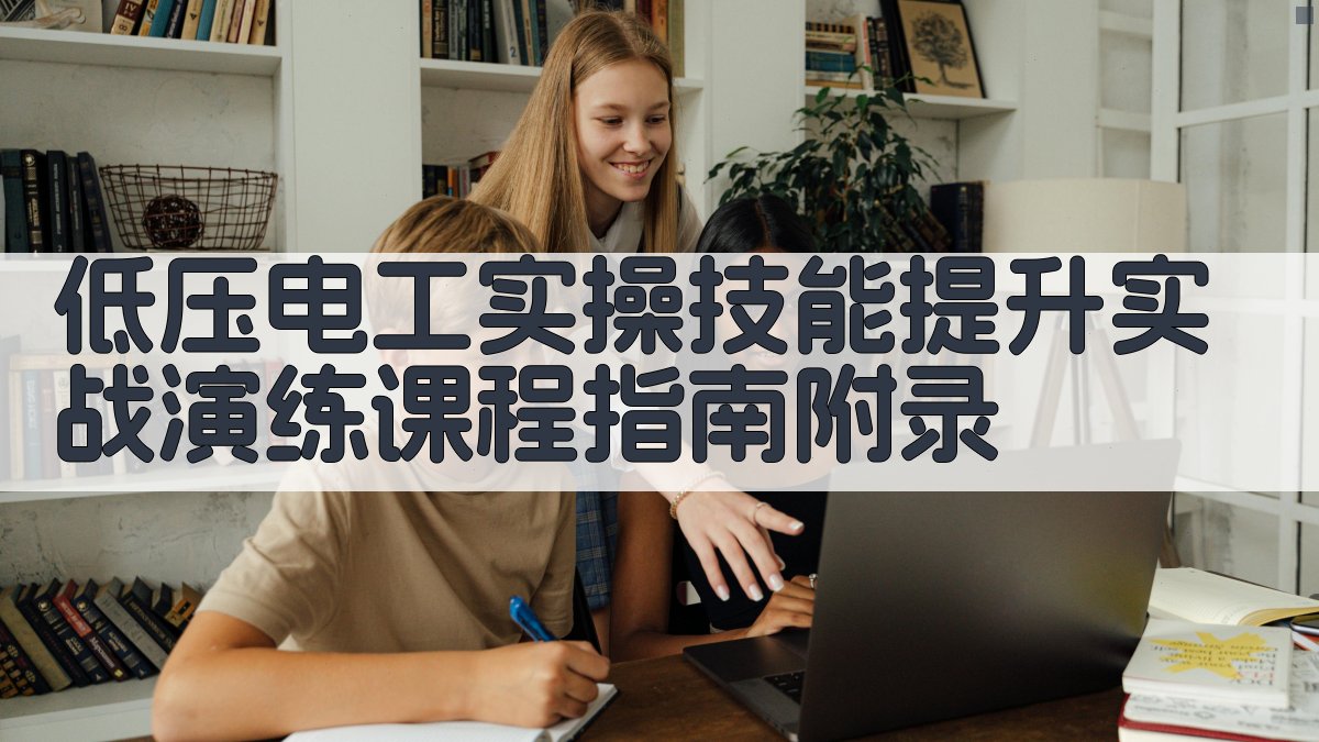 低压电工实操技能提升实战演练课程指南 · 附录 图4