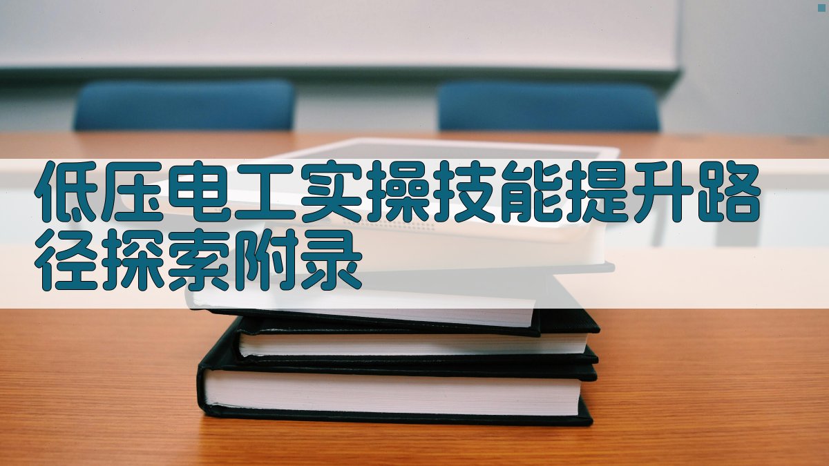 低压电工实操技能提升路径探索 · 附录 图2