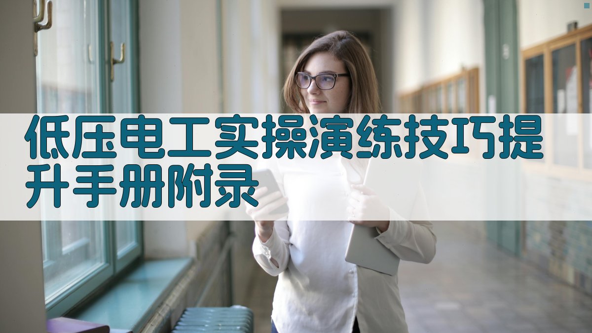 低压电工实操演练技巧提升手册 · 附录 图4