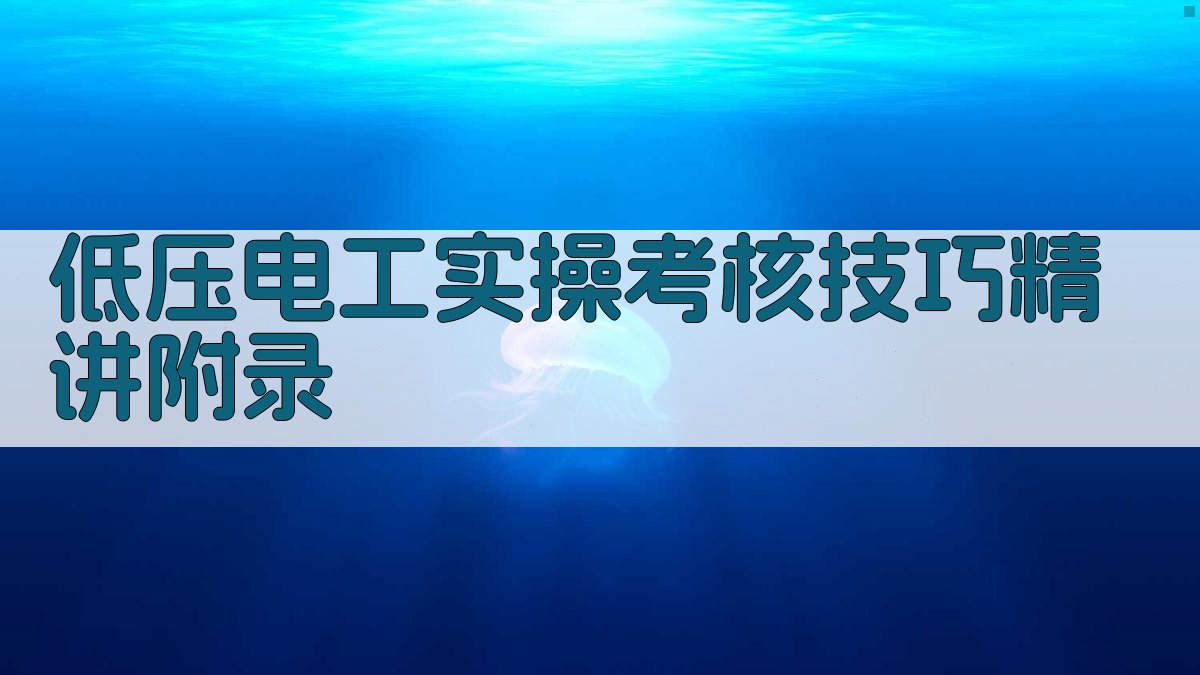 低压电工实操考核技巧精讲 · 附录 图3
