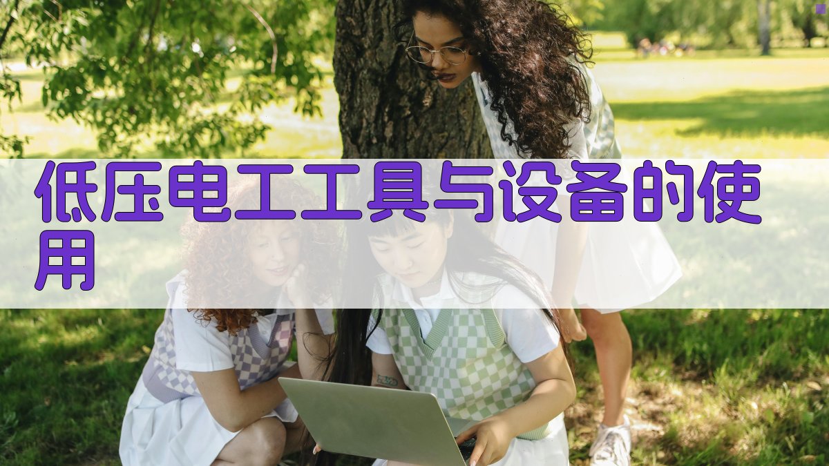 低压电工工具与设备的使用 图3