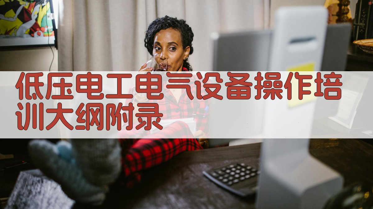 低压电工电气设备操作培训大纲 · 附录 图3