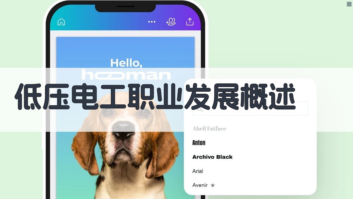 低压电工职业发展路径规划与就业指导