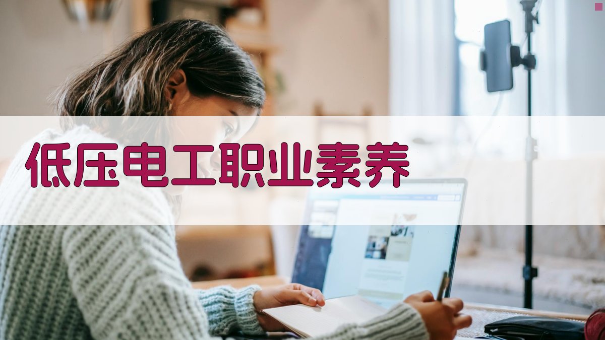 低压电工职业素养 图2