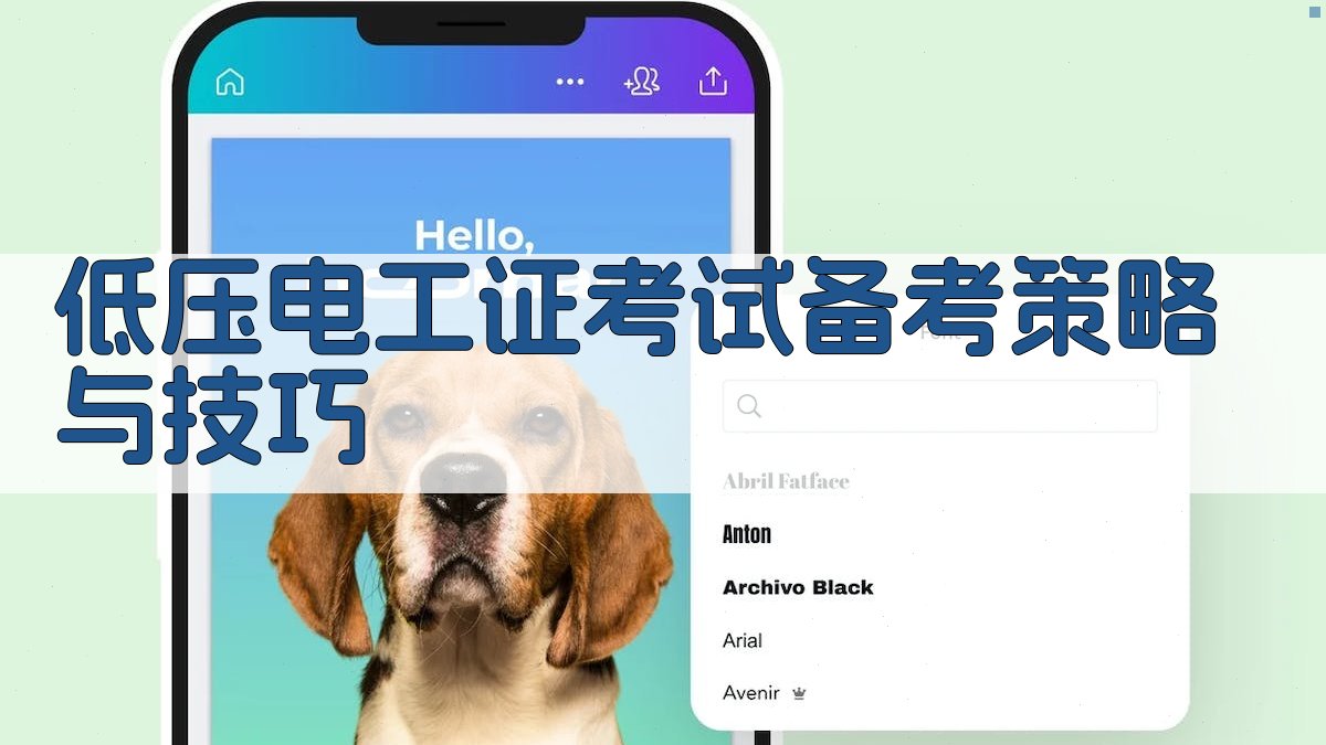 低压电工证考试备考策略与技巧 图3