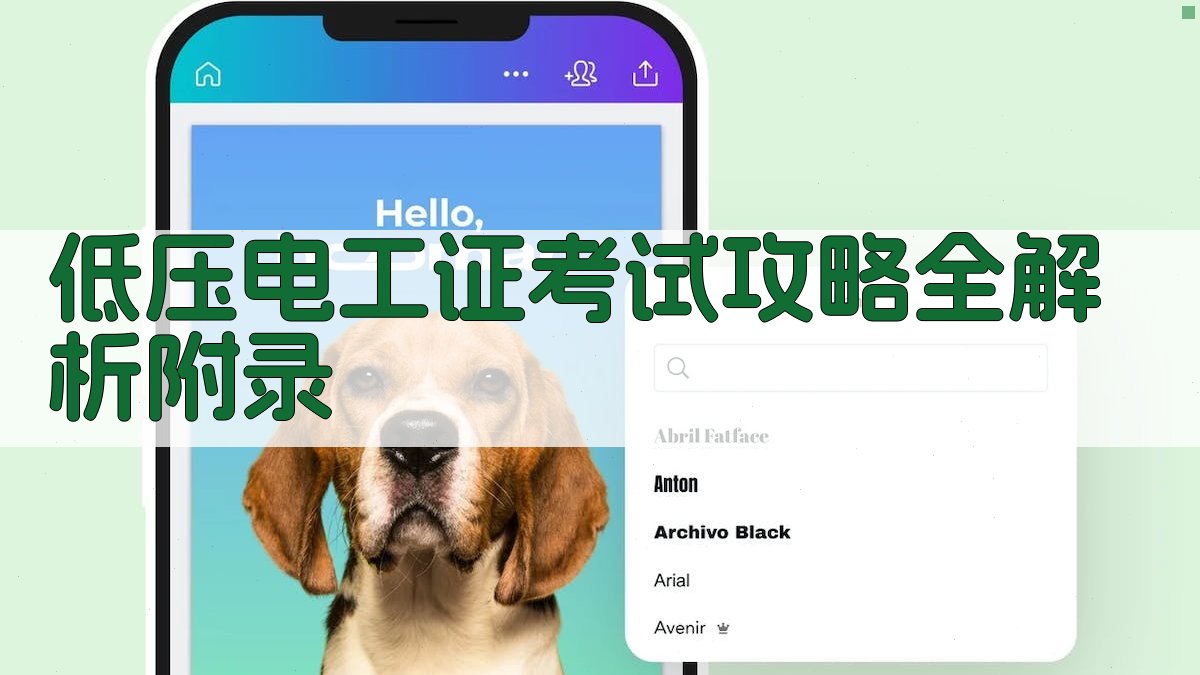 低压电工证考试攻略全解析 · 附录 图4