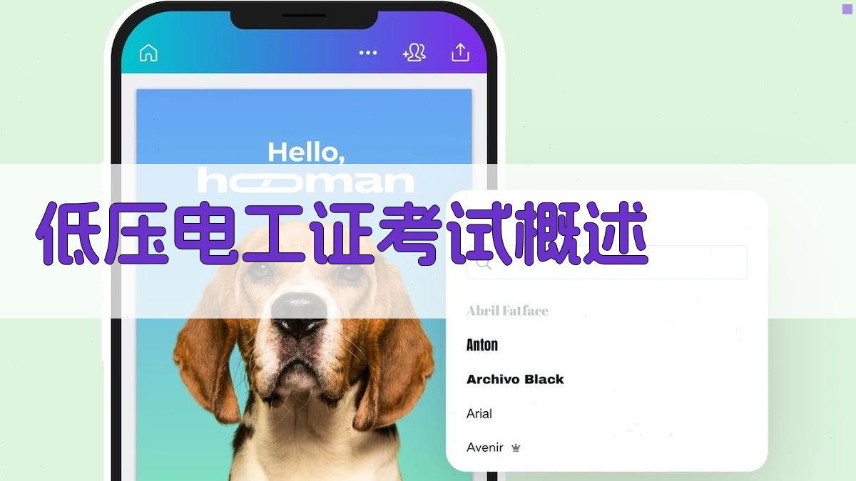 低压电工证考试技巧指南