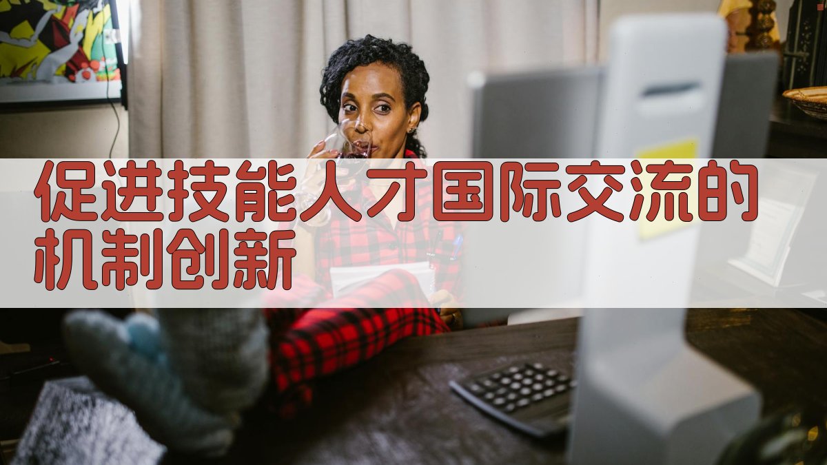 促进技能人才国际交流的机制创新 图3