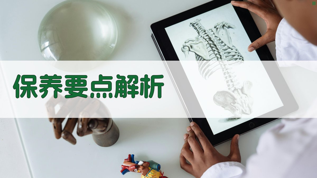 保养要点解析 图2