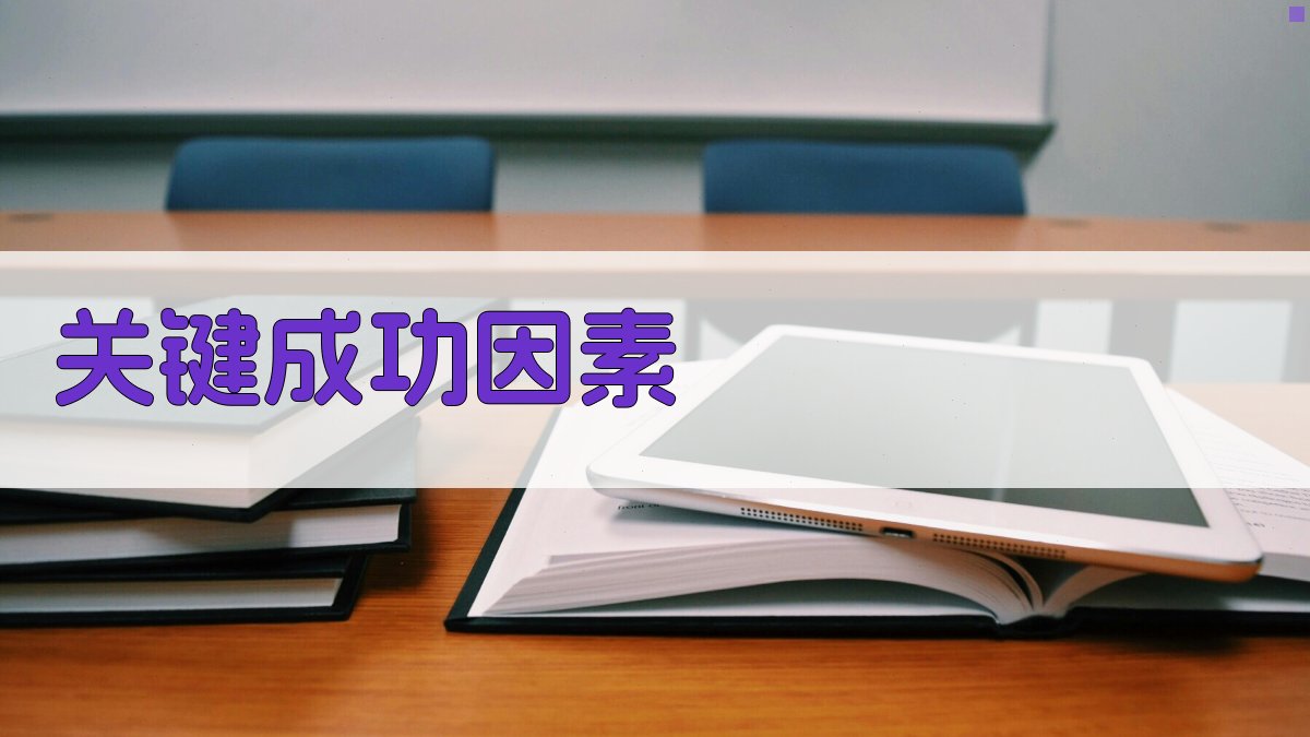 关键成功因素 图2