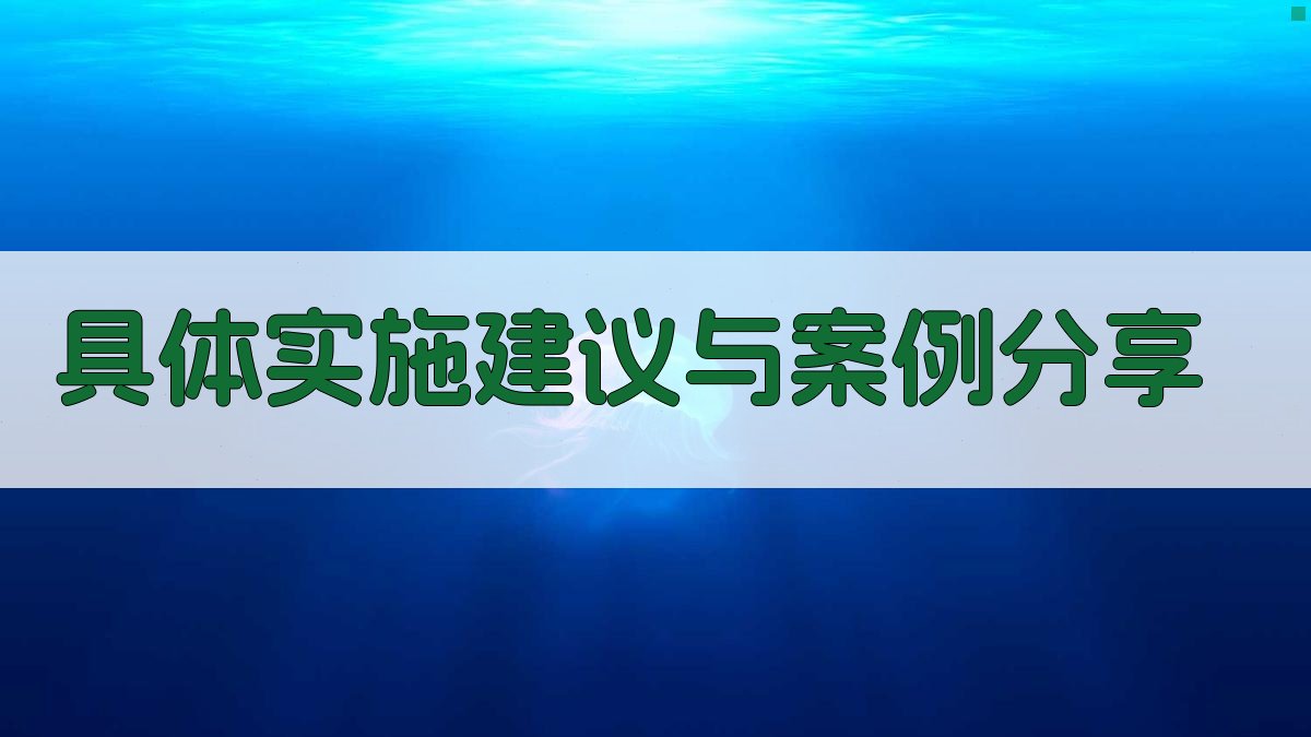 具体实施建议与案例分享 图3