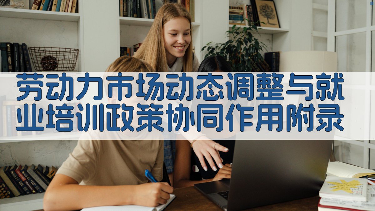劳动力市场动态调整与就业培训政策协同作用