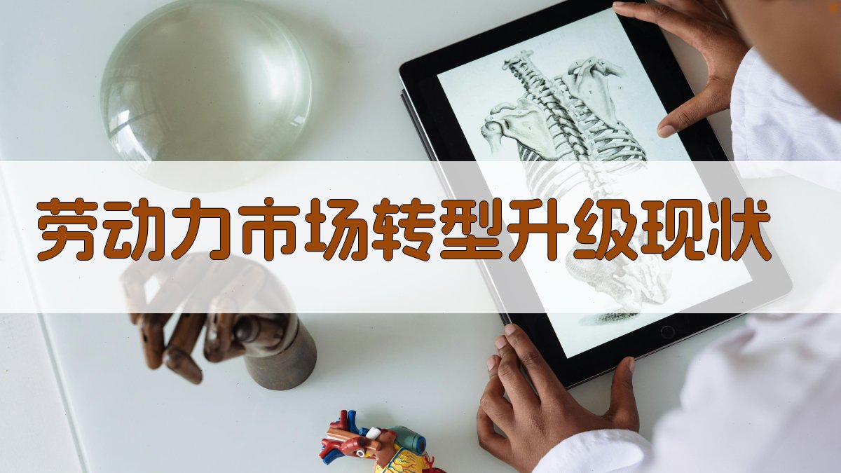 劳动力市场转型升级现状 图2