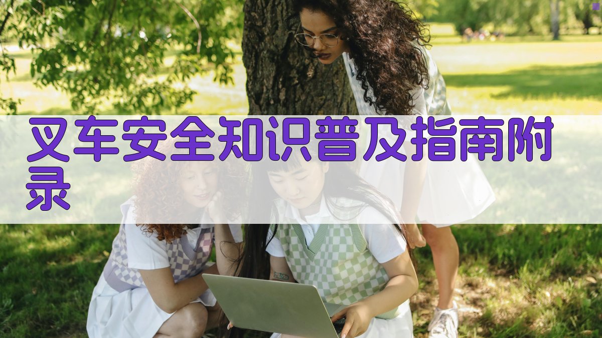 叉车安全知识普及指南 · 附录 图4