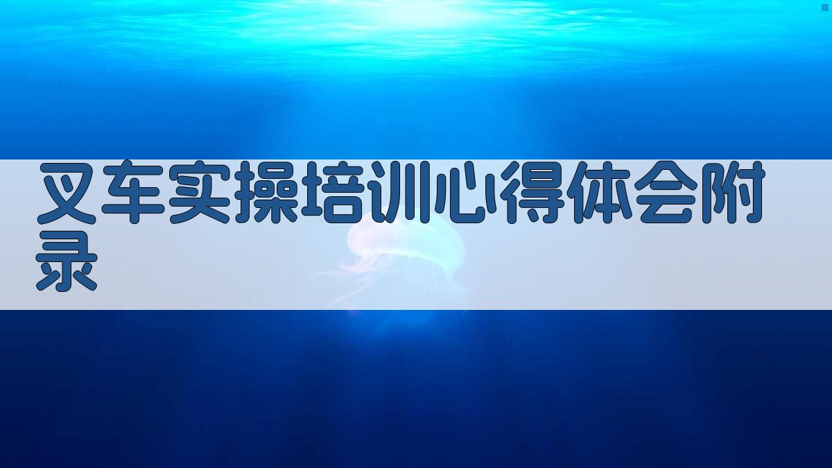 叉车实操培训心得体会 · 附录 图4